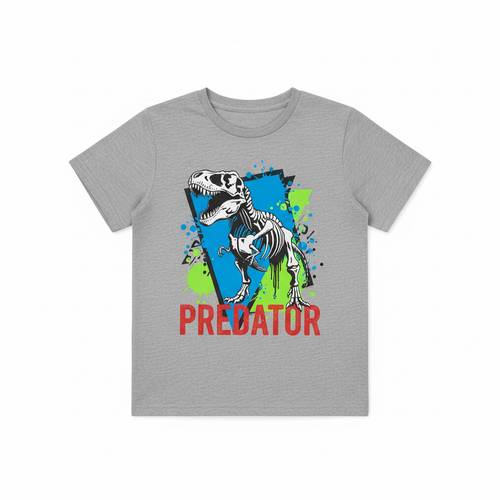 Boys Graphic Print Tee